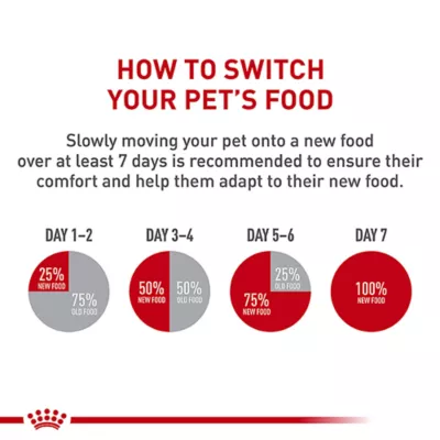 When Can You Switch to Adult Cat Food: Essential Timing Tips