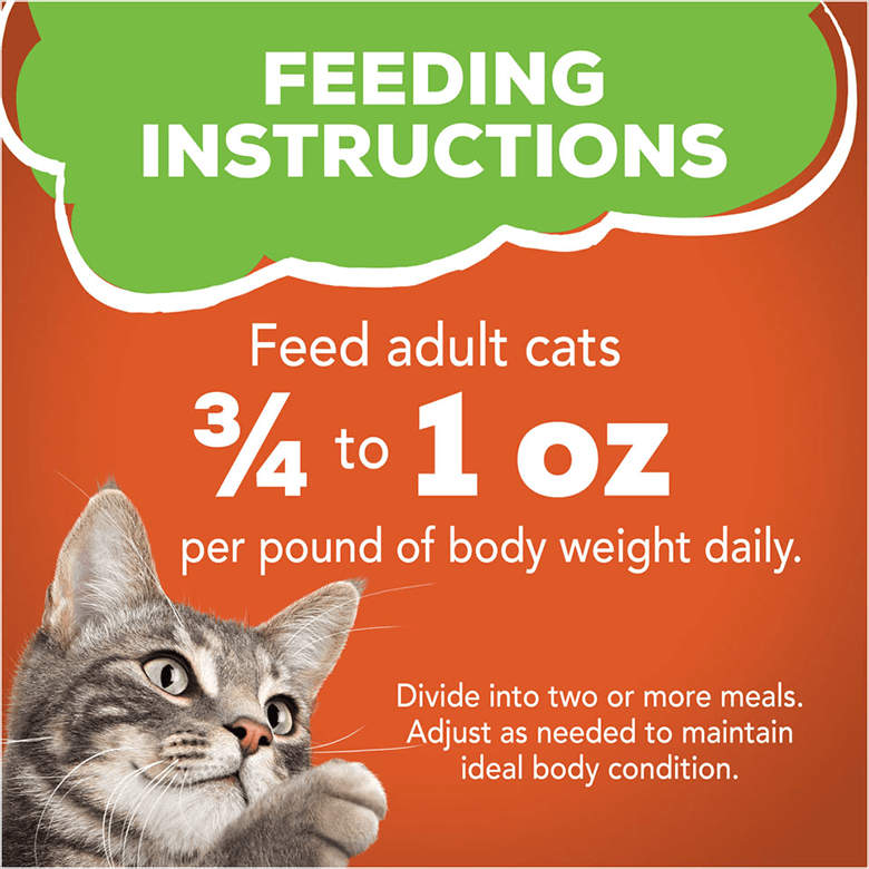 When Cn I.Give Adult Food.To a Cat: Essential Feeding Guide