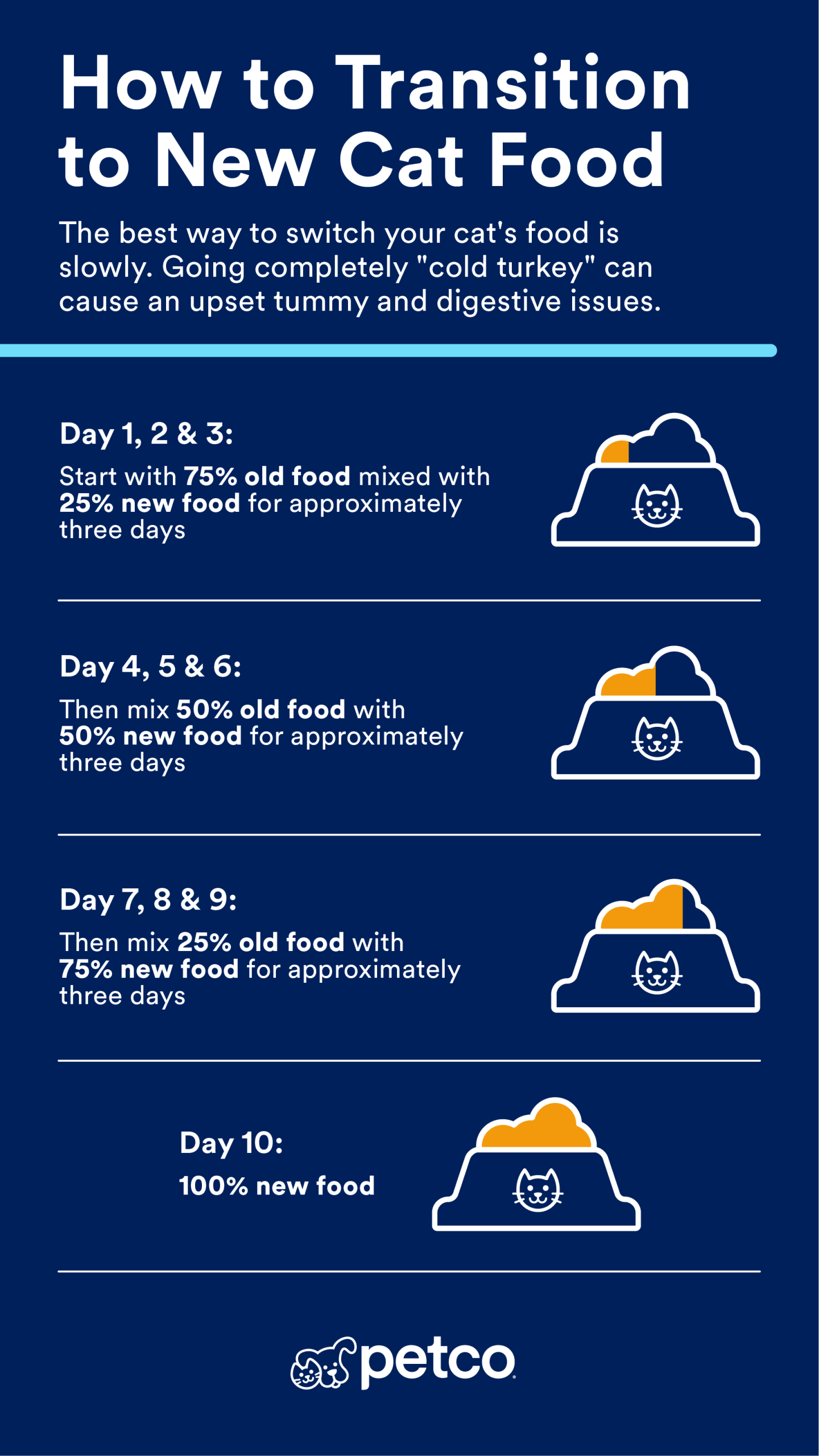 When is It Time to Switch to Adult Cat Food: Key Signs Revealed