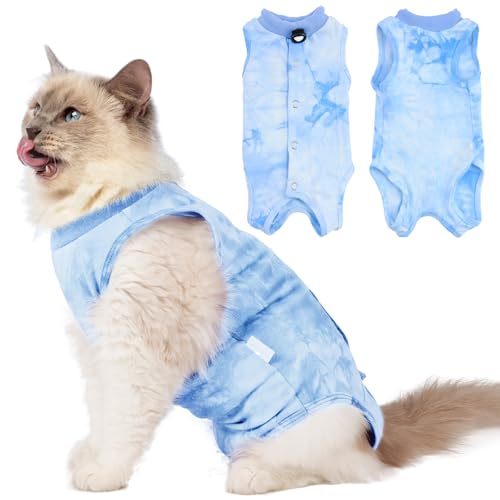 When is the Best Time to Spay a Cat