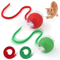 Where Can I Buy Cat Toys: Top Trusted Stores Revealed