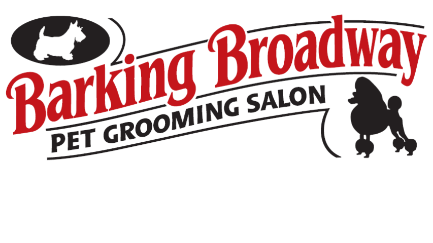 Where Can I Get My Cat Groomed in Cleveland Ohio: Top Trusted Spots