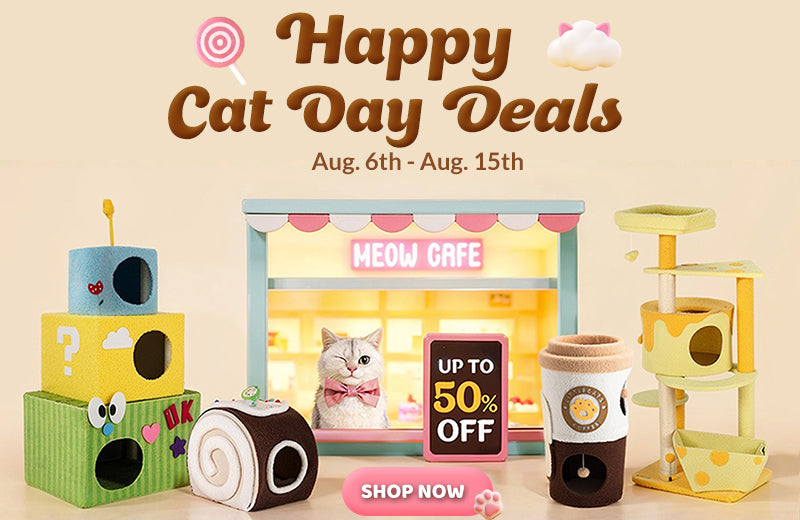 Where Doyou Put All Your Cats Toys: Clever Storage Ideas