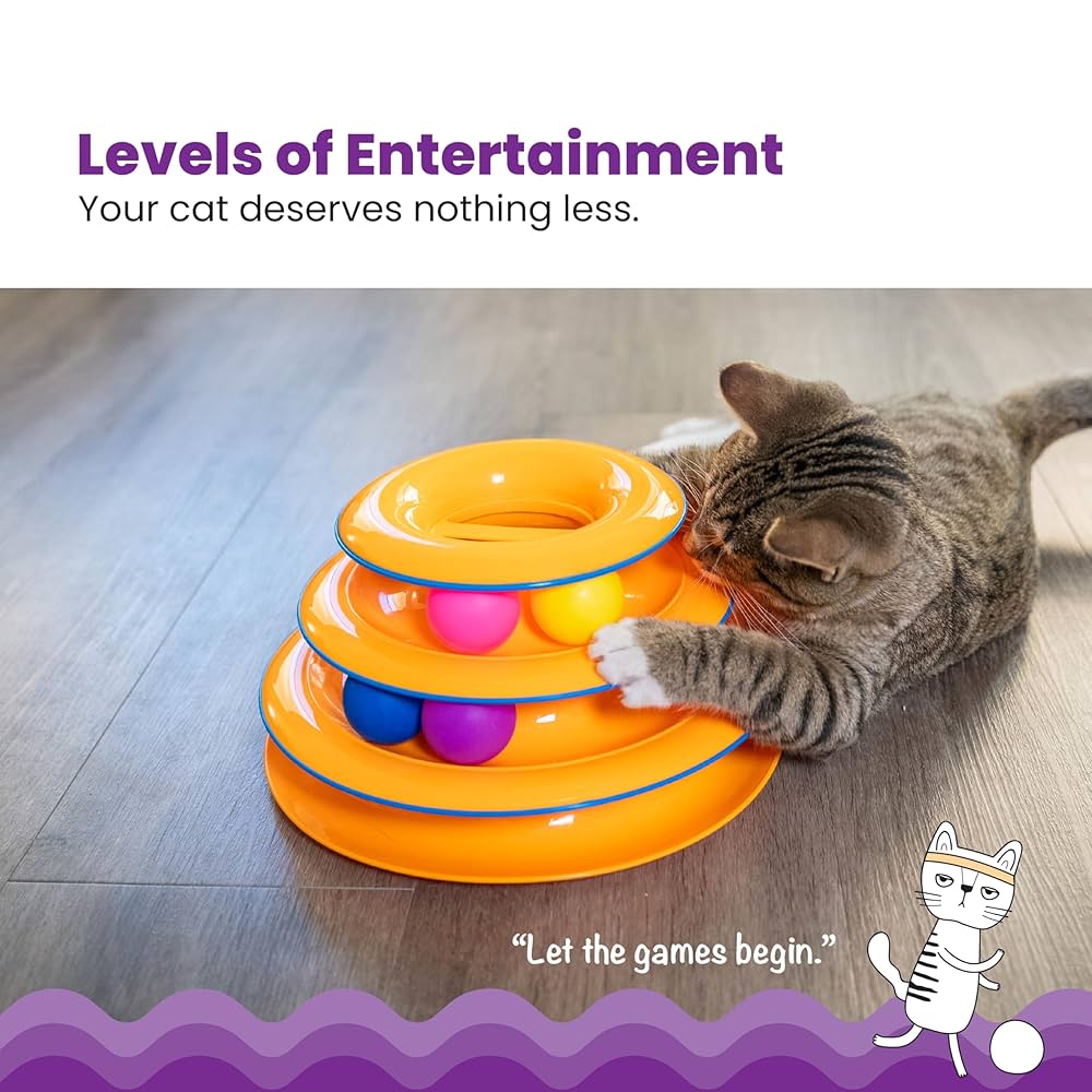Where My Cats Come to Play With Their Toys: Ultimate Fun Spot