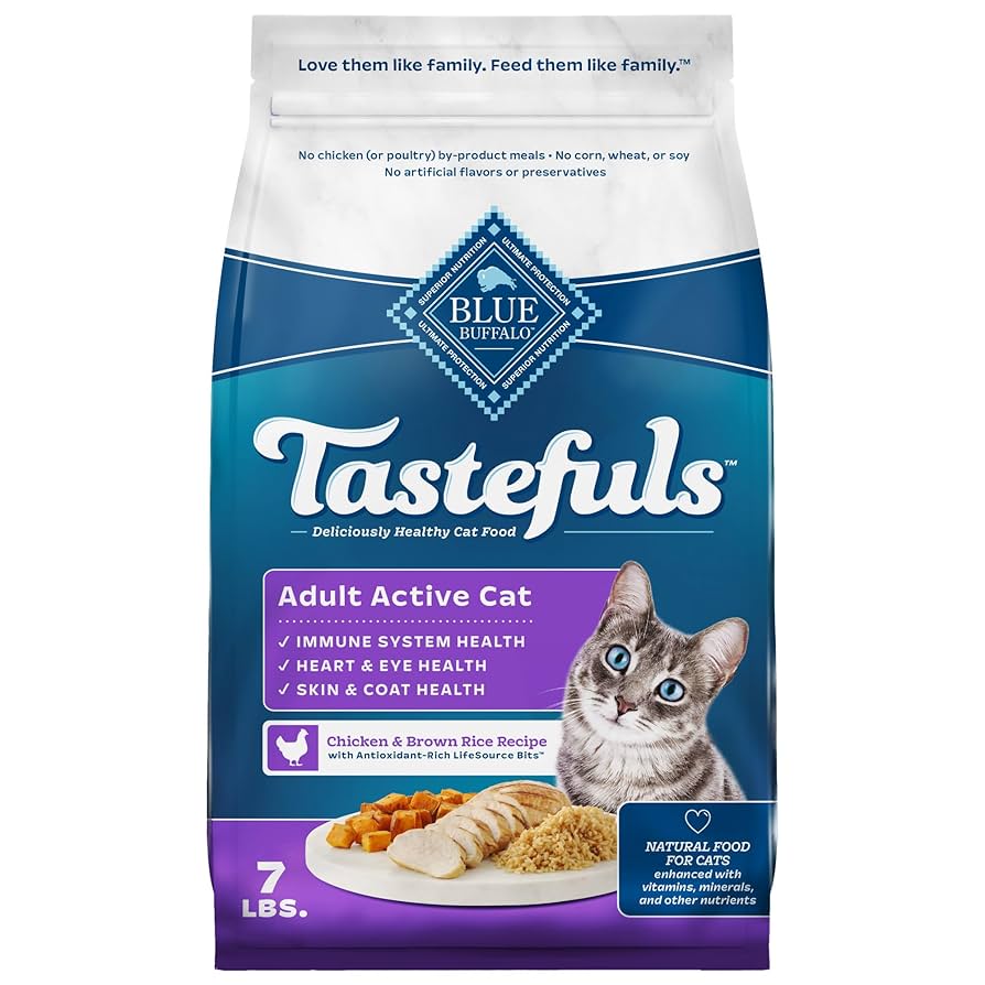 Where to Buy Adult Cat Food: Top Trusted Stores Revealed