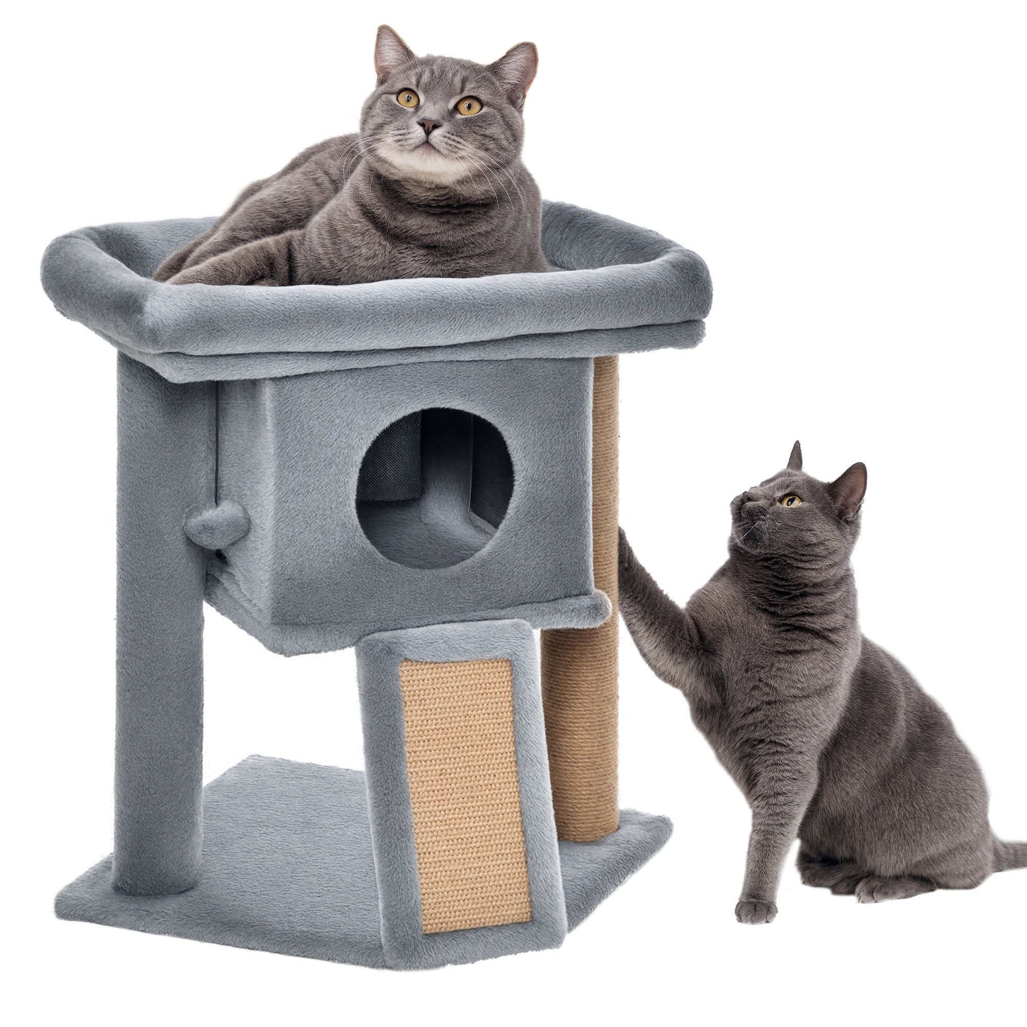 Where to Buy Cat Climbing Toys