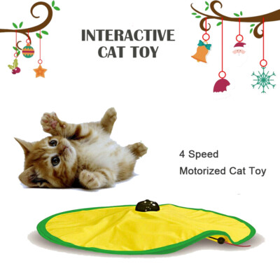 Where to Buy Cat'S Meow Toy