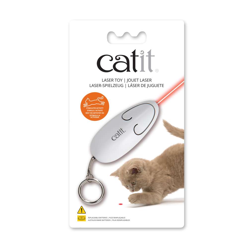 Where to Play Cat Laser Toy