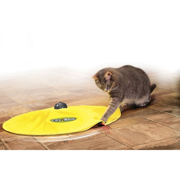 Where to Purchase Cats Meow Toy