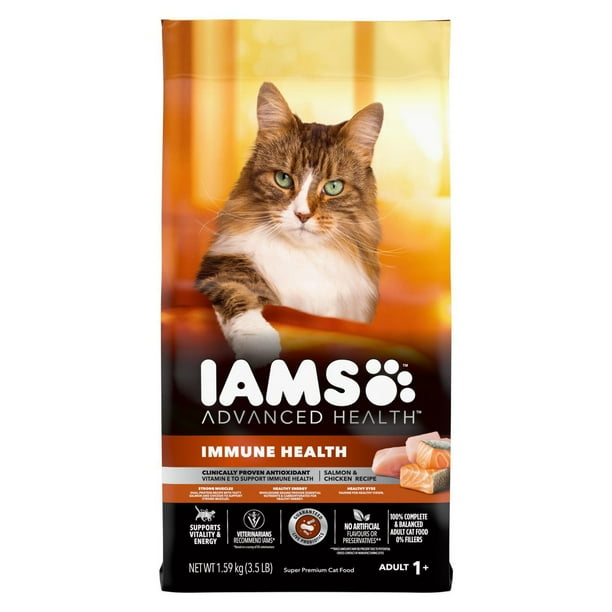 Which Cat Foods Support Immun Health