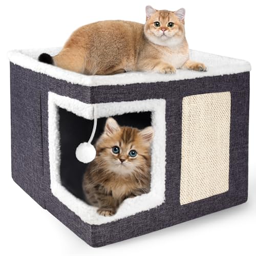 Which Cat is Best for Home: Top Cozy Cat Houses and Scratch Pads