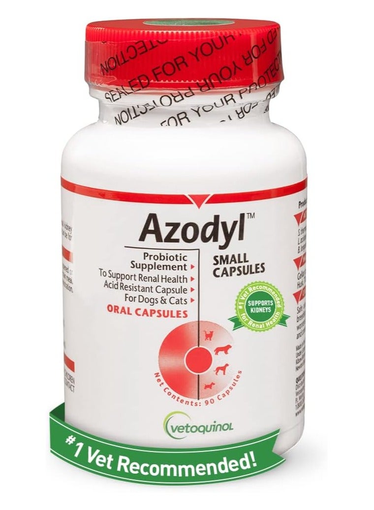 Which Probiotics Support Kidney Health in Cats Azodyl Or Proviable: Ultimate Guide