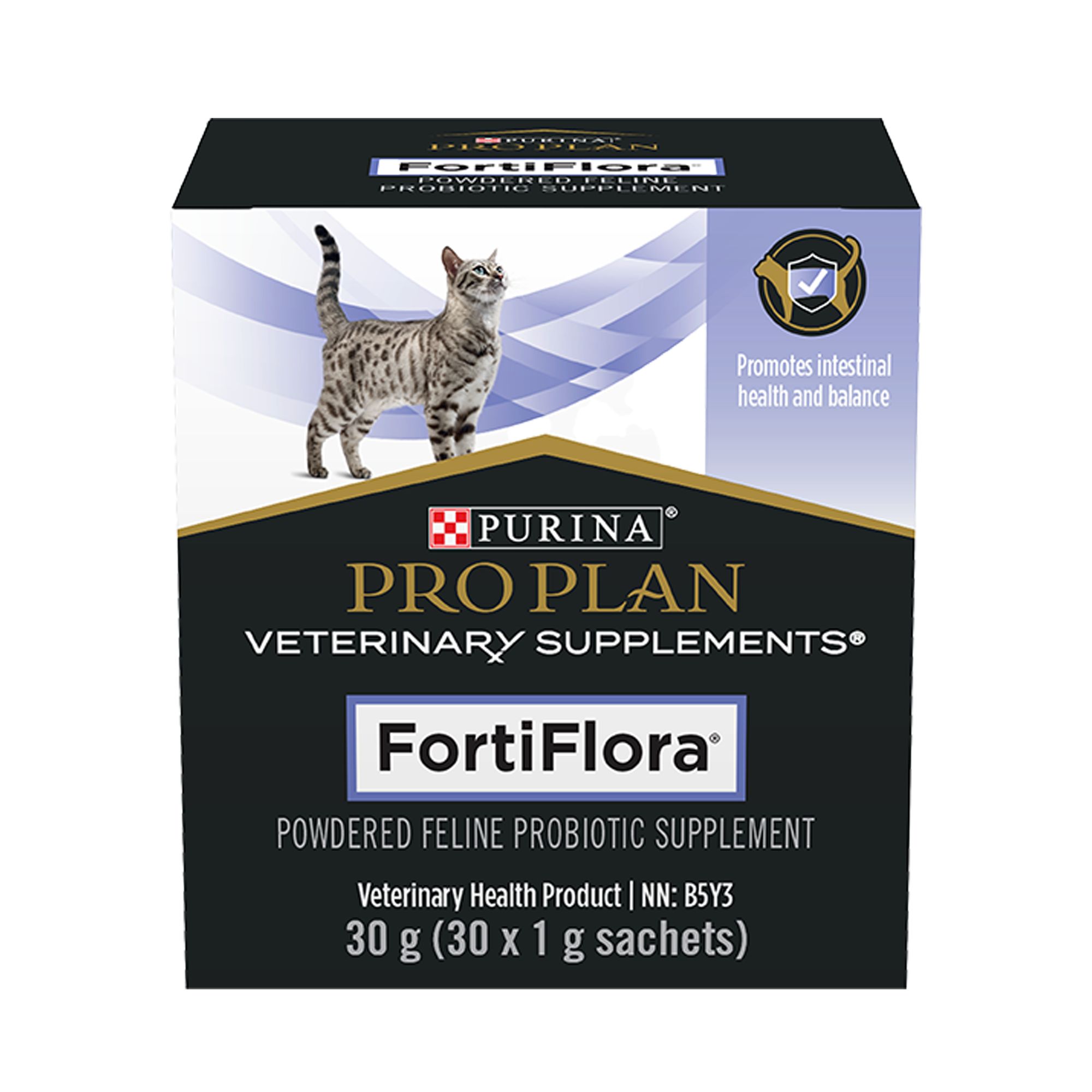 Which Probiotics Support Kidney Health in Cats: Top Picks Revealed