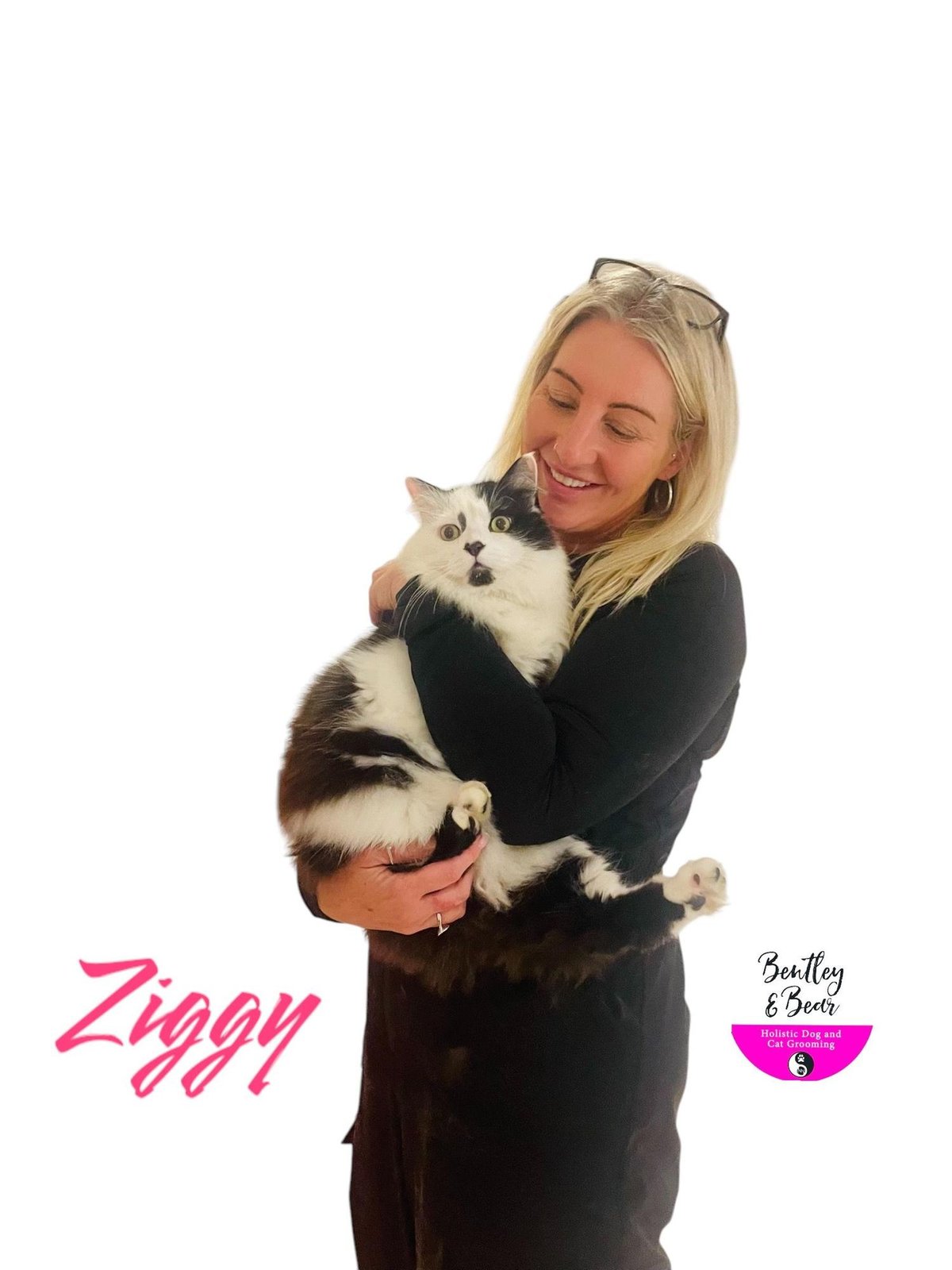 Who is the Real Competitive Dog Groomer Named Cat: Unveiled!