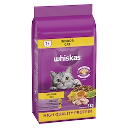 Who Much Food for a Adult Indoor Cat: Ultimate Feeding Guide