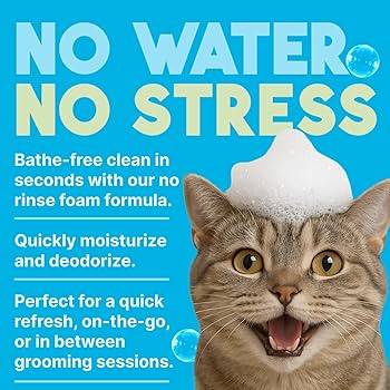 Who Must Pass the Cat Grooming Certification With 100 Percent: Essential Guide