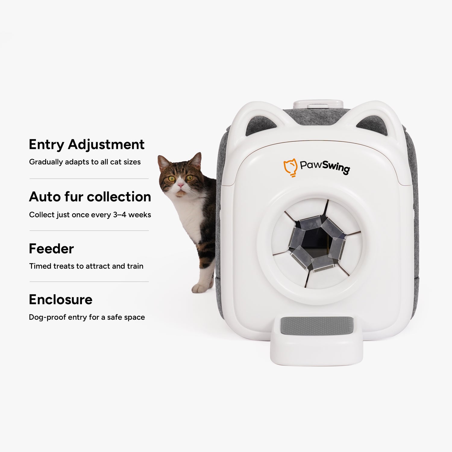 Who Must Pass the Cat Grooming Safety Certification With 100% Success?