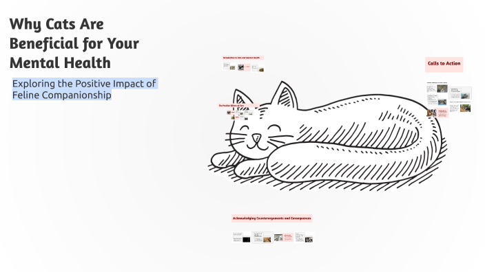 Why a Cat Can Be Good for Your Mental Health