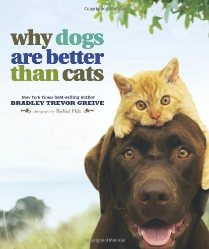 Why Are Cats the Best Pet? Discover Their Unique Charm and Benefits