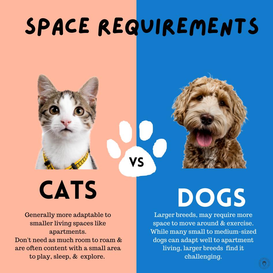 Why are There More Breeds of Dogs Than Cats