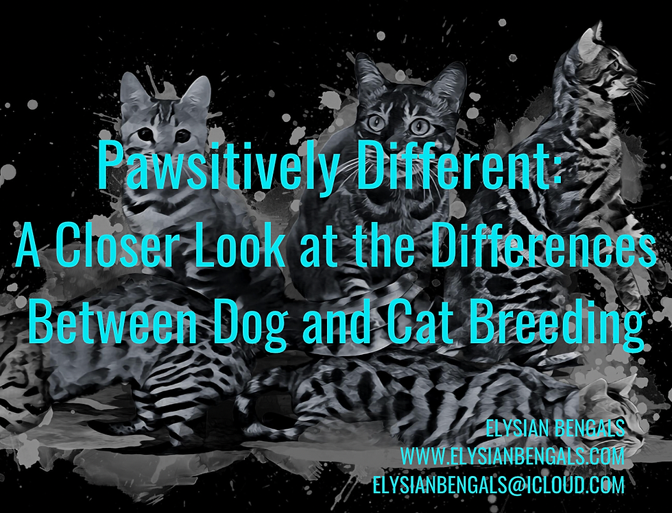 Why Breeding Cats is Bad