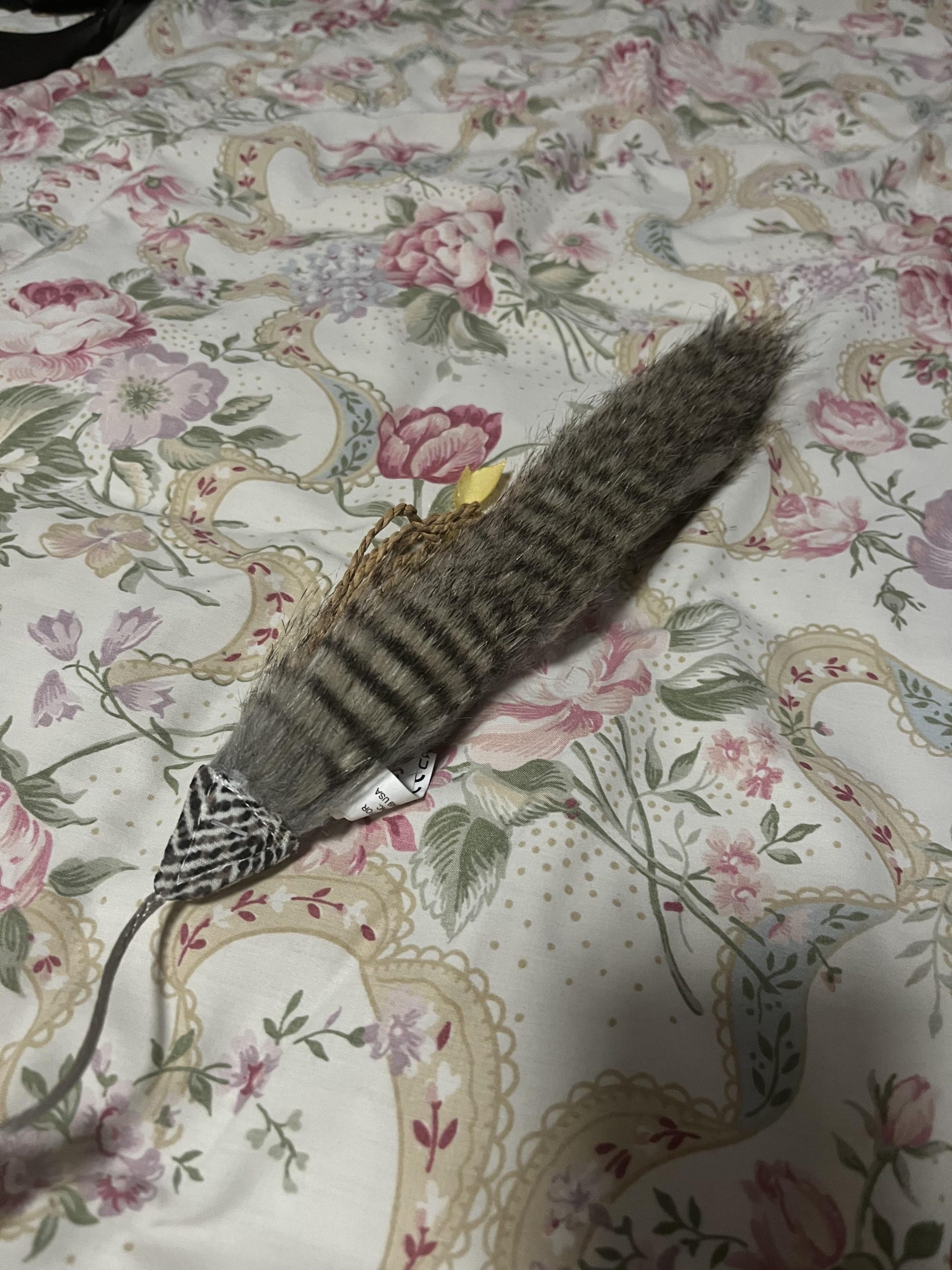 Why Cat Hiss at Toy: Surprising Reasons Revealed