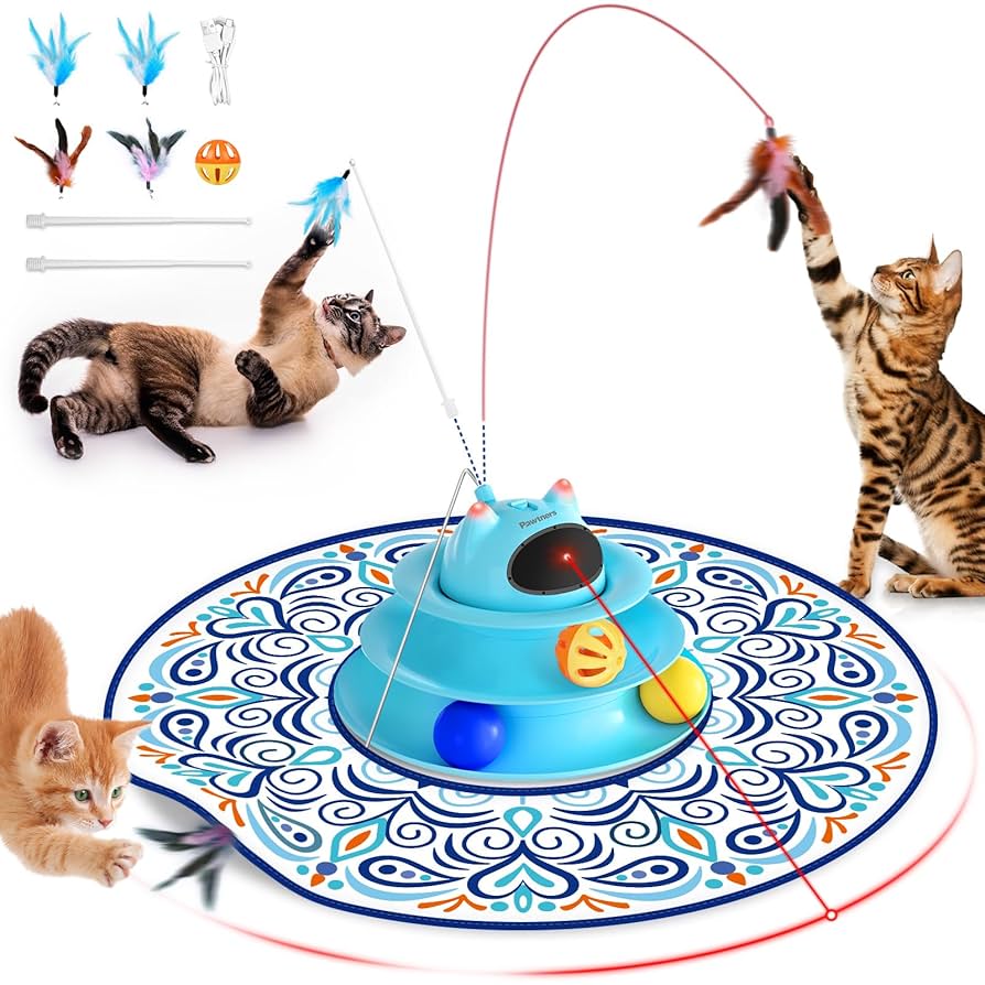Why Cats Hide Toys: Surprising Reasons Behind This Curious Habit
