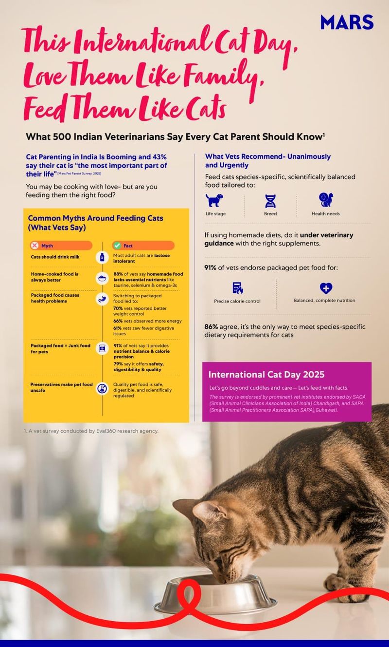 Why Diet And Heart Health Matters With Cats: Essential Tips for Lifelong Wellness