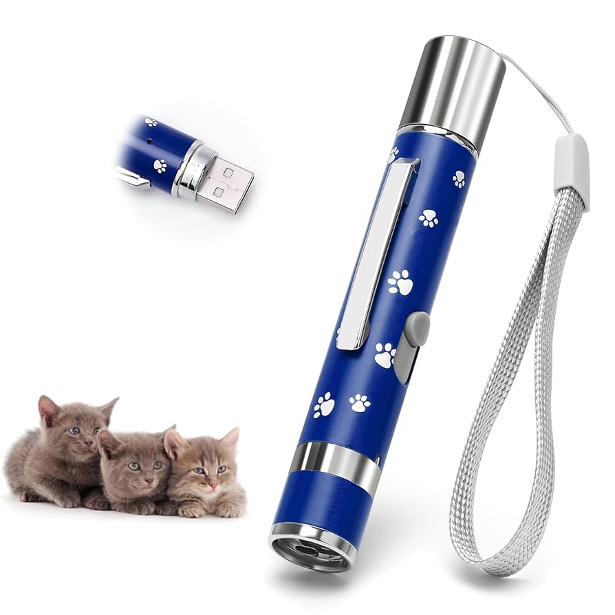 Why Do Cats Chase Toys: Uncover the Surprising Reasons