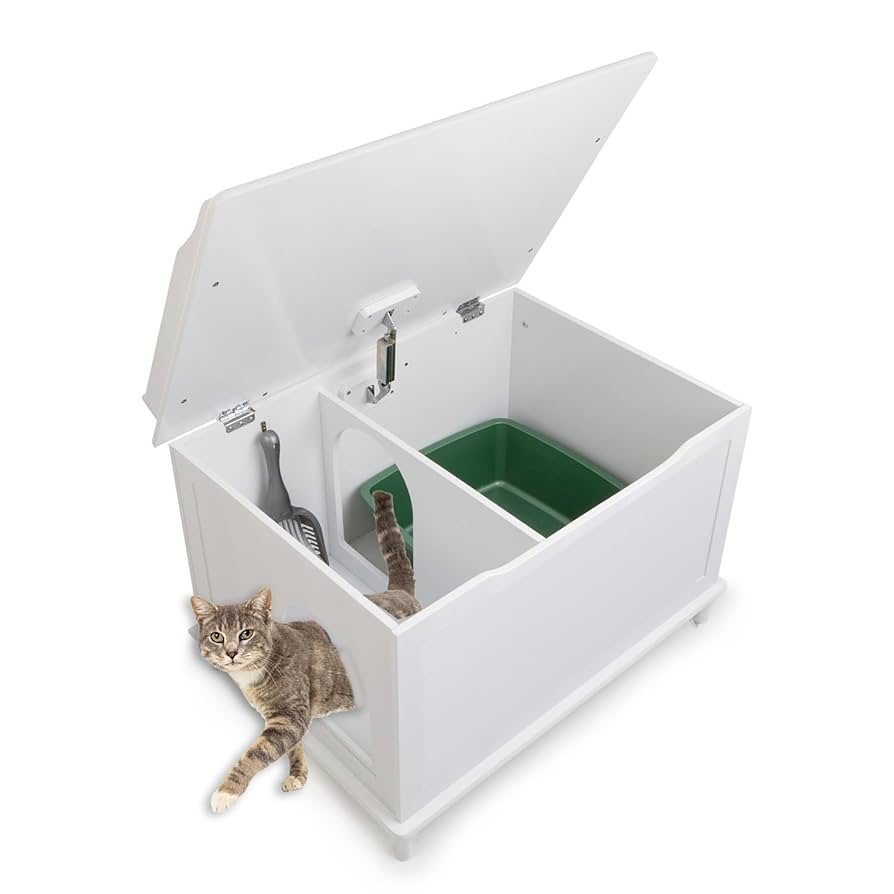 Why Do Cats Hide Toys in Litter Box: Surprising Behavior Explained