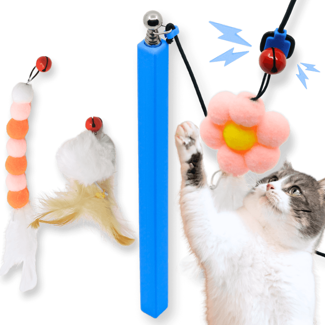Why Do Cats Like Wand Toys