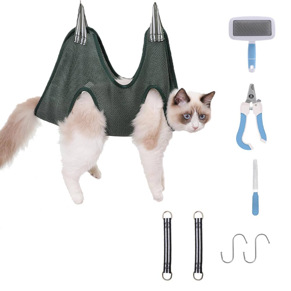 Why Does Cat Bathe Toys