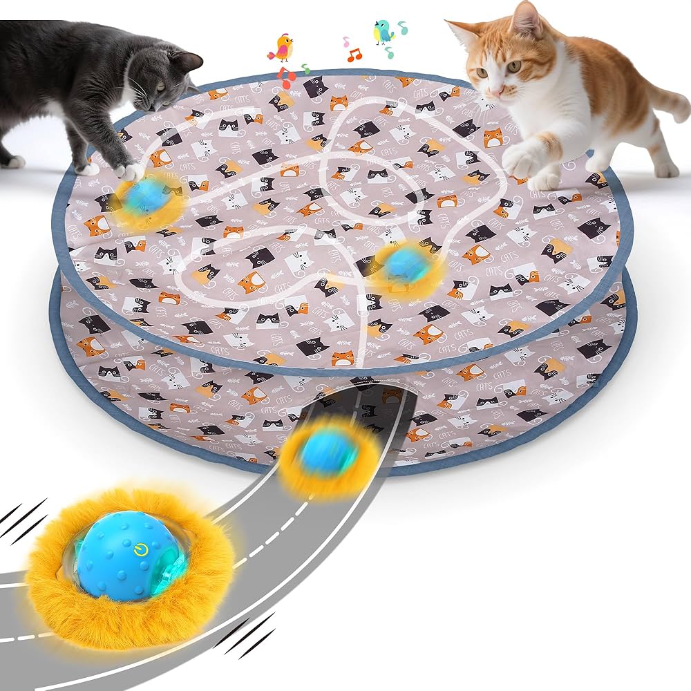 Why Does Cat Hide Toys