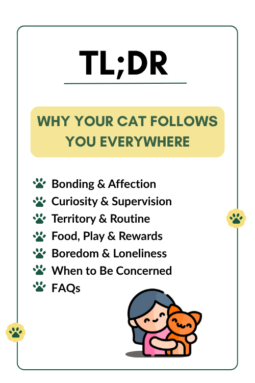 Why Does My Cat Always Groom Me: Surprising Reasons Explained
