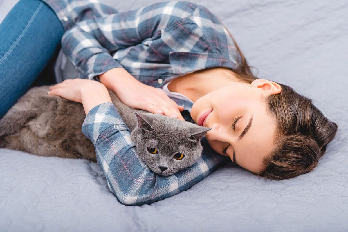 Why Does My Cat Lay on Me to Groom: Surprising Reasons Revealed