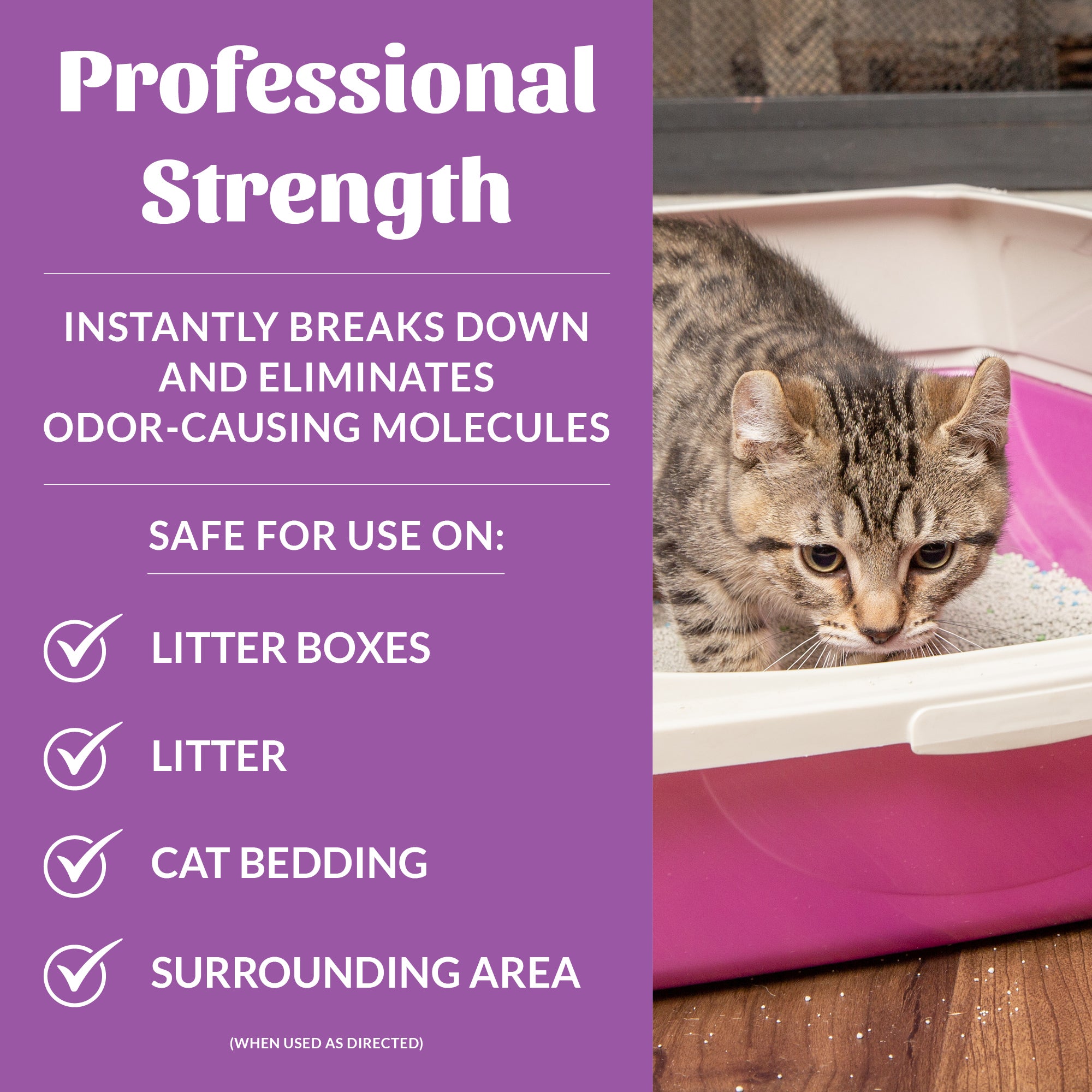 Why Does My Cat Litter Box Smell So Bad: Easy Fixes Revealed