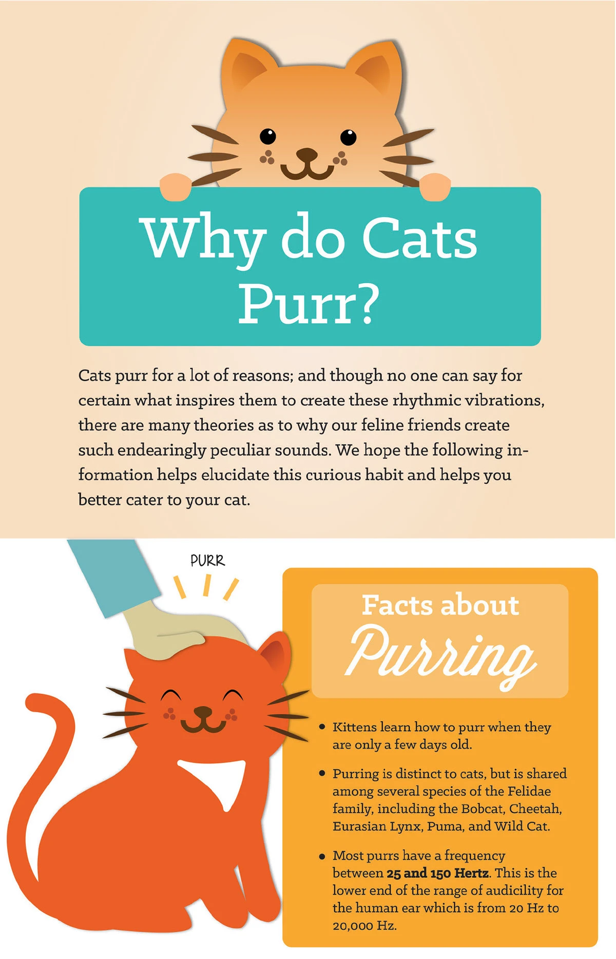 Why Does My Cat Purr Grooming: Surprising Reasons Explained