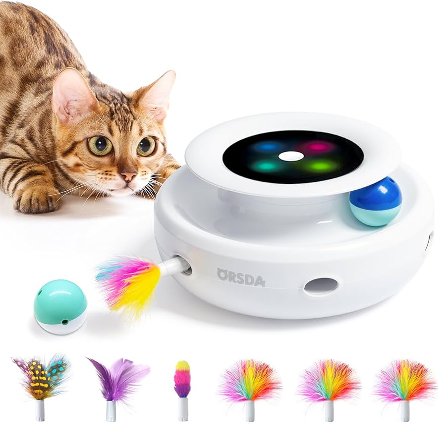 Why Does My Cat Put Toys in My Shoes: Surprising Reasons Revealed