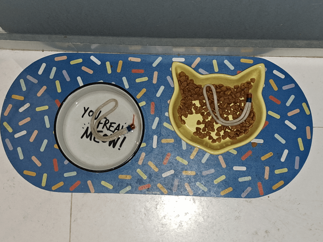 Why Does My Cat Put Toys in Water Dish