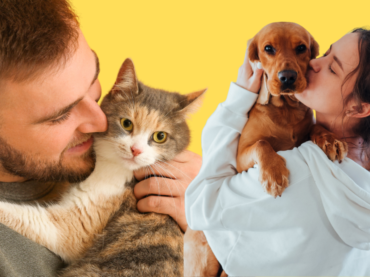 Why Dogs are Better Than Cats Health Wise