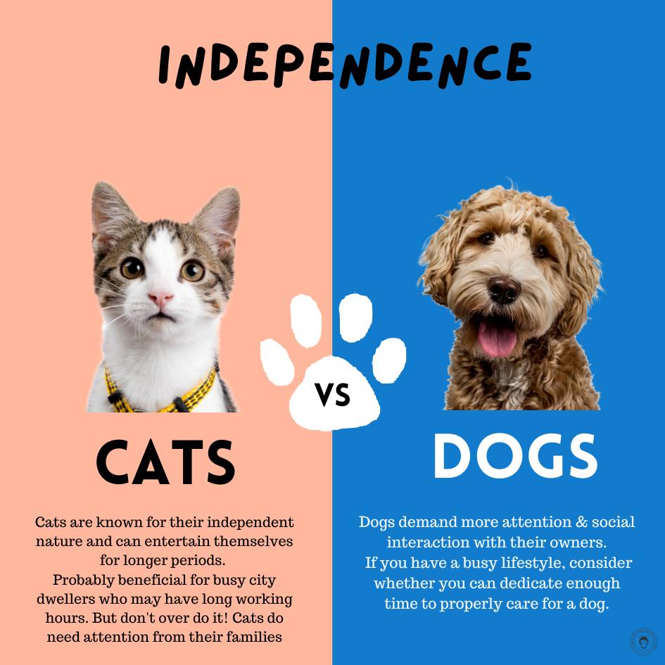 Why Dont Cats Have As Many Breeds As Dogs: Surprising Reasons Explained
