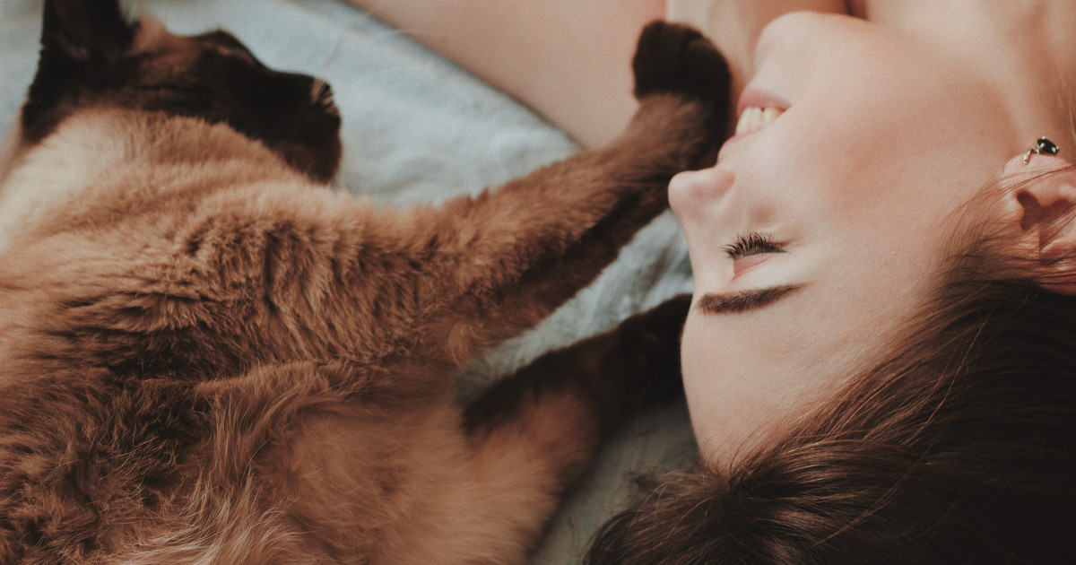 Why is My Cat Grooming on My Lap: Surprising Reasons Explained