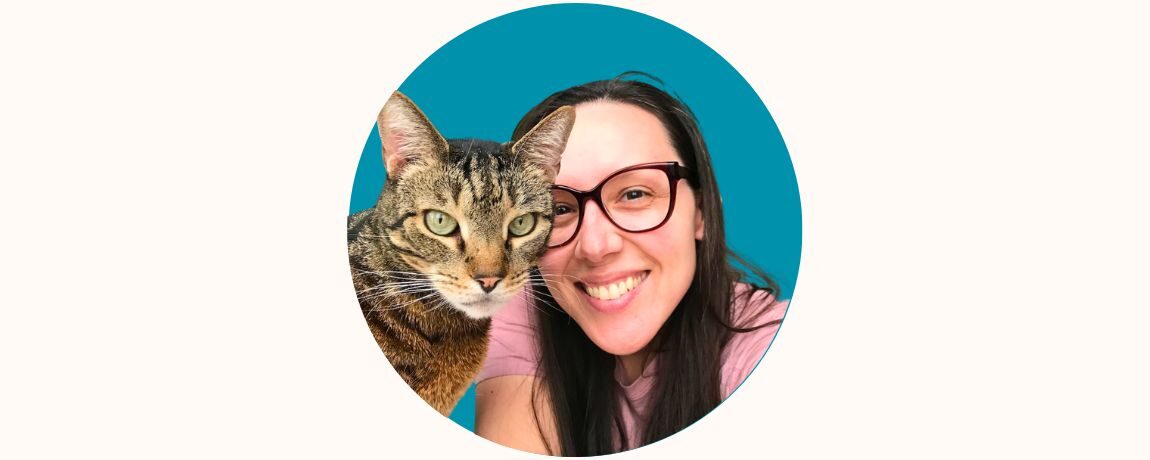 Why is My Cat Not Interested in Toys