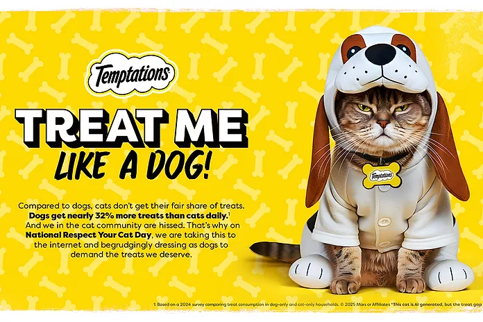 Why More Toys And Treats for Dogs Than Cats: Surprising Reasons Revealed