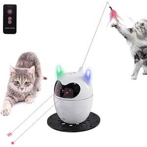 Why Not Use Lazer Toy With Cats: Shocking Risks Revealed