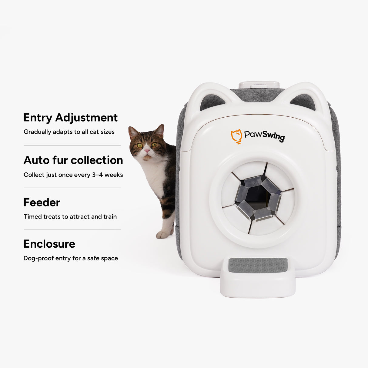Why Professional Cat Grooming: Essential Tips for Healthy Cats