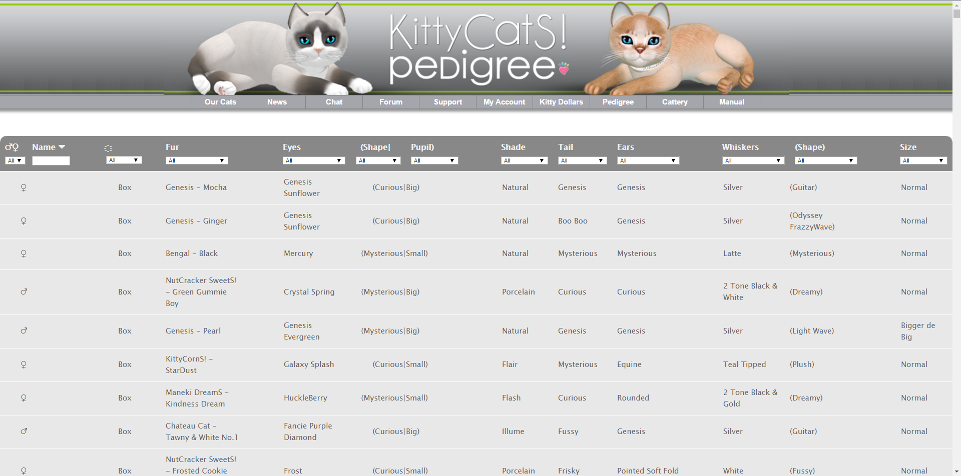 Will Cat Breeder Provide Pedigree