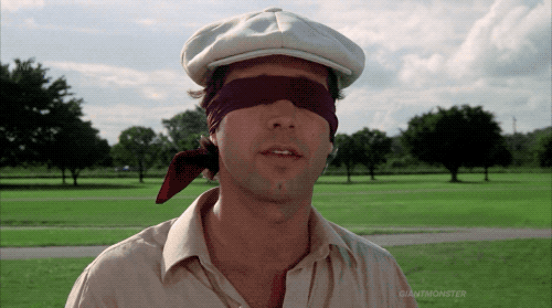 Will Ferrell Cat Toy Gif: Hilarious Moments That Captivate Cats