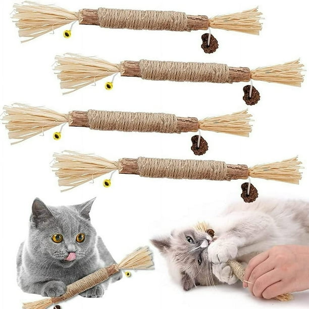 Will It Hurt Baby to Play With Cat Nip Toys? Essential Safety Tips