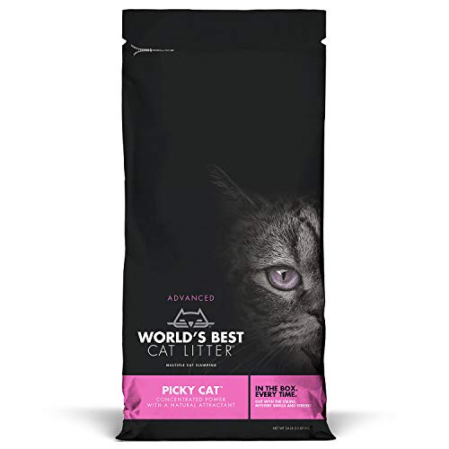 World’S Best Cat Litter Picky Cat: Ultimate Odor Control and Low Tracking